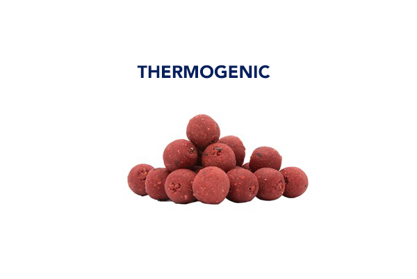 boiles thermogenic